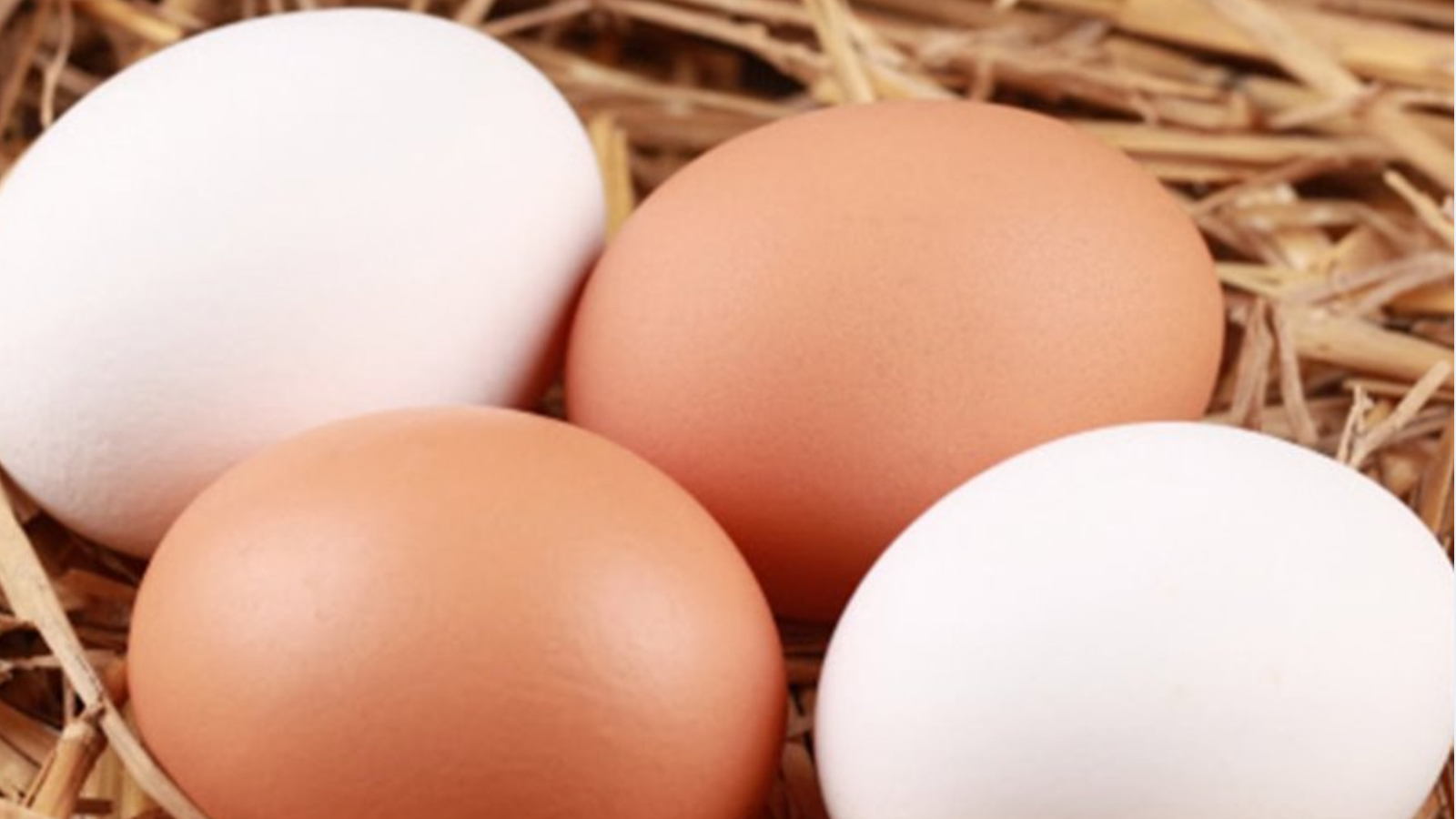 Filosofía Valentino